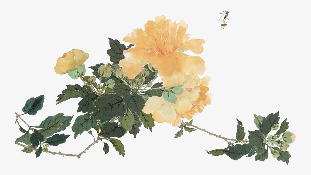 Orange Chinese flower, botanical illustration by Ju Lian.  Remixed by rawpixel.