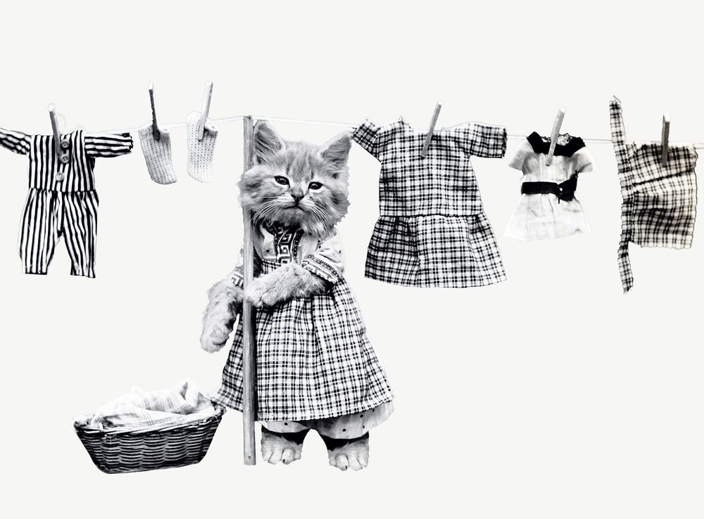 Kitten doing laundry, animal collage element psd