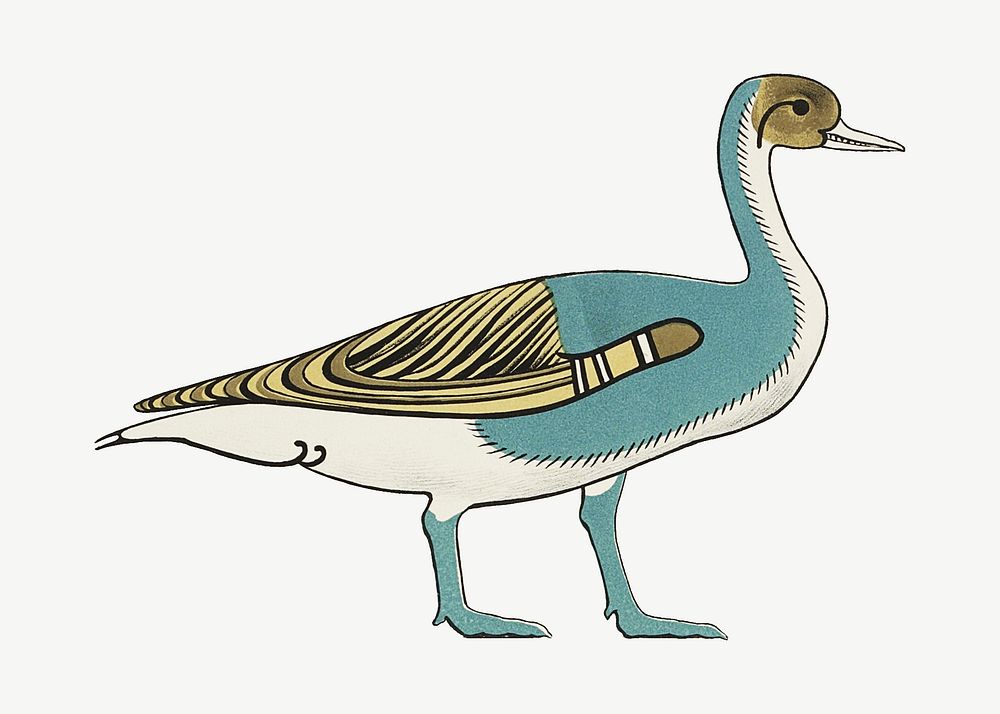 Vintage Egyptian bird illustration, tombs of Nevoethph and Menothph psd