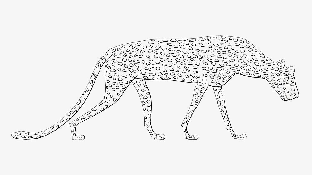 Egypt leopard vintage illustration image