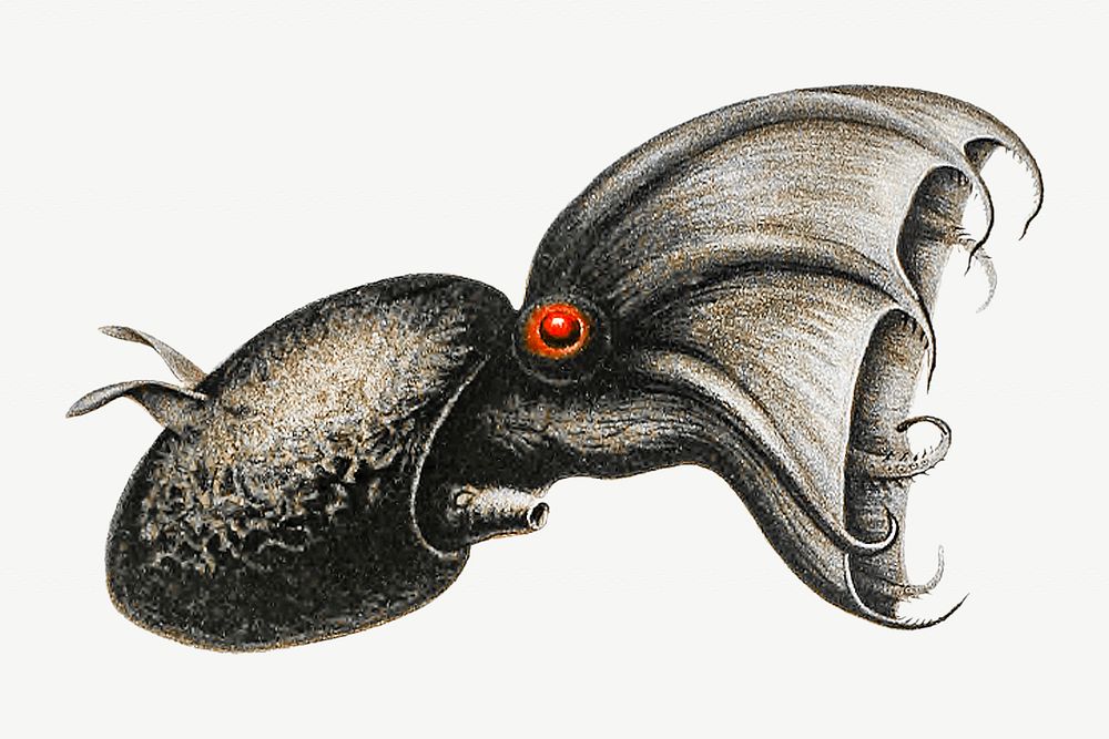 Octopus vintage illustration, collage element | Premium PSD