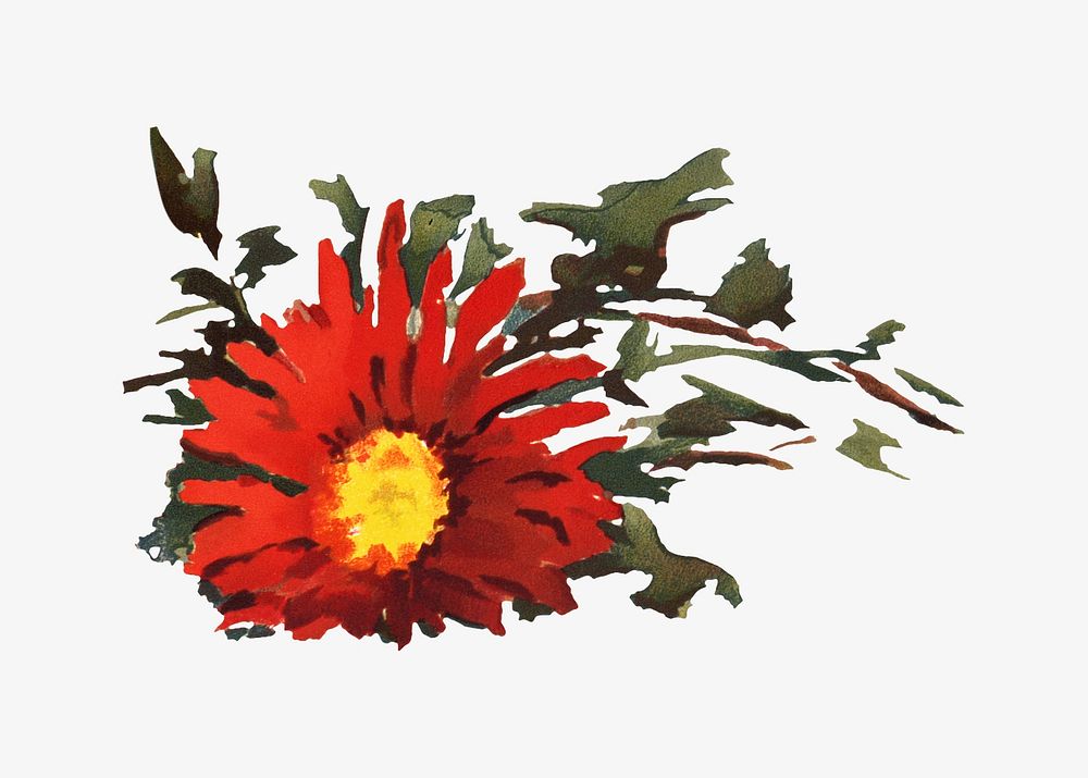 Chrysanthemums, red flower illustration by Louise Blogett Field. Remixed by rawpixel.