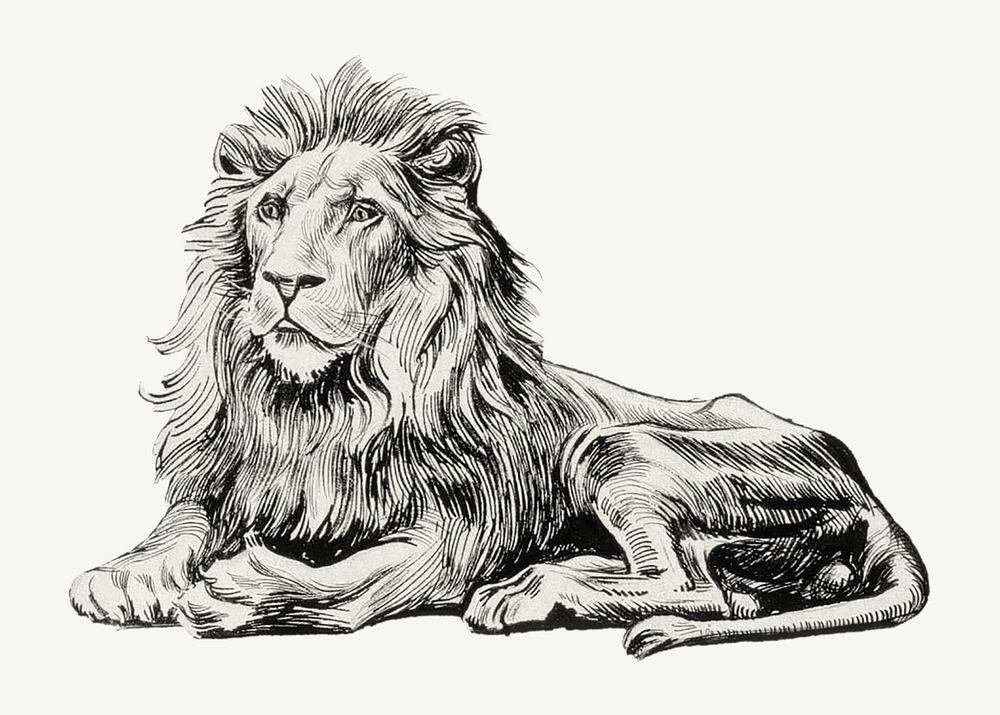 The final vignette of Döbel's Juuttaalla poem, vintage lion illustration by Albert Edelfelt psd. Remixed by rawpixel.