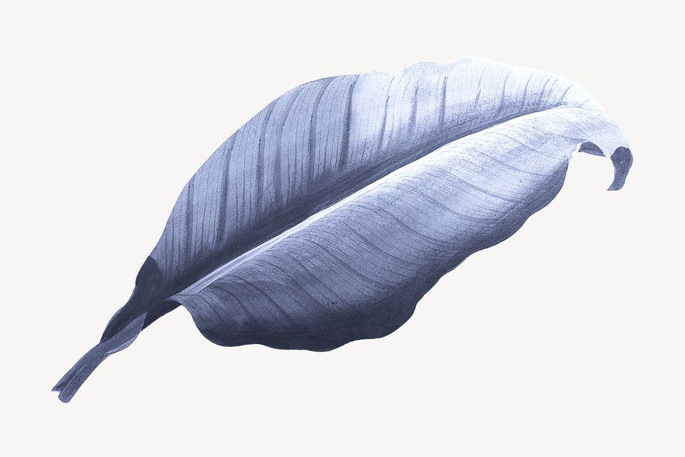 Vintage gradient blue leaf illustration psd