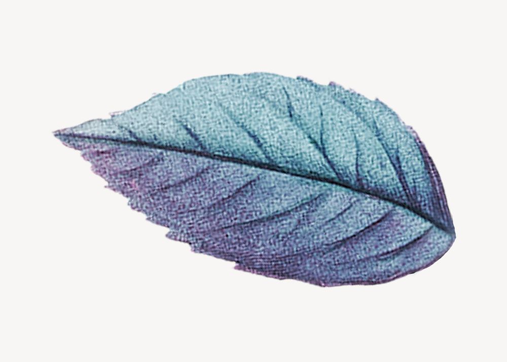 Vintage gradient blue leaf illustration psd