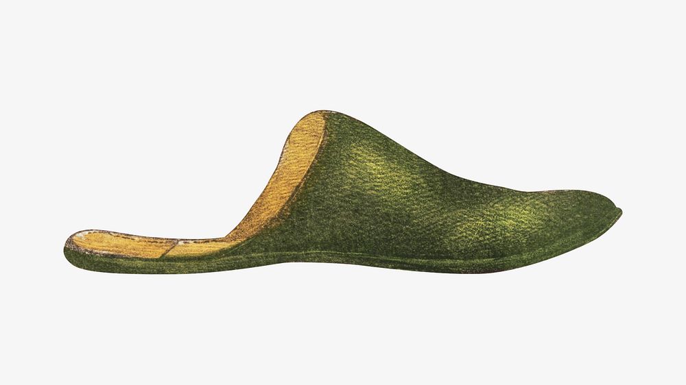 House slipper, vintage illustration. Remixed by rawpixel.