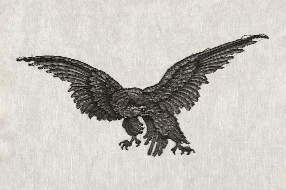 Decoration (19th century), fragment of black silk lace in the form of a flying eagle. Original public domain image from The…