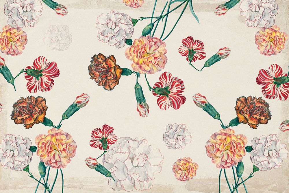 Vintage colorful carnations background. Remixed by rawpixel. 