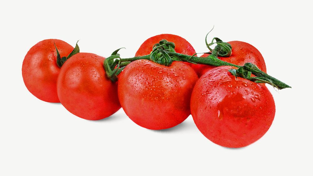 Tomatoes image graphic psd
