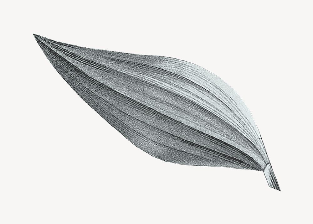 Vintage gray leaf illustration psd