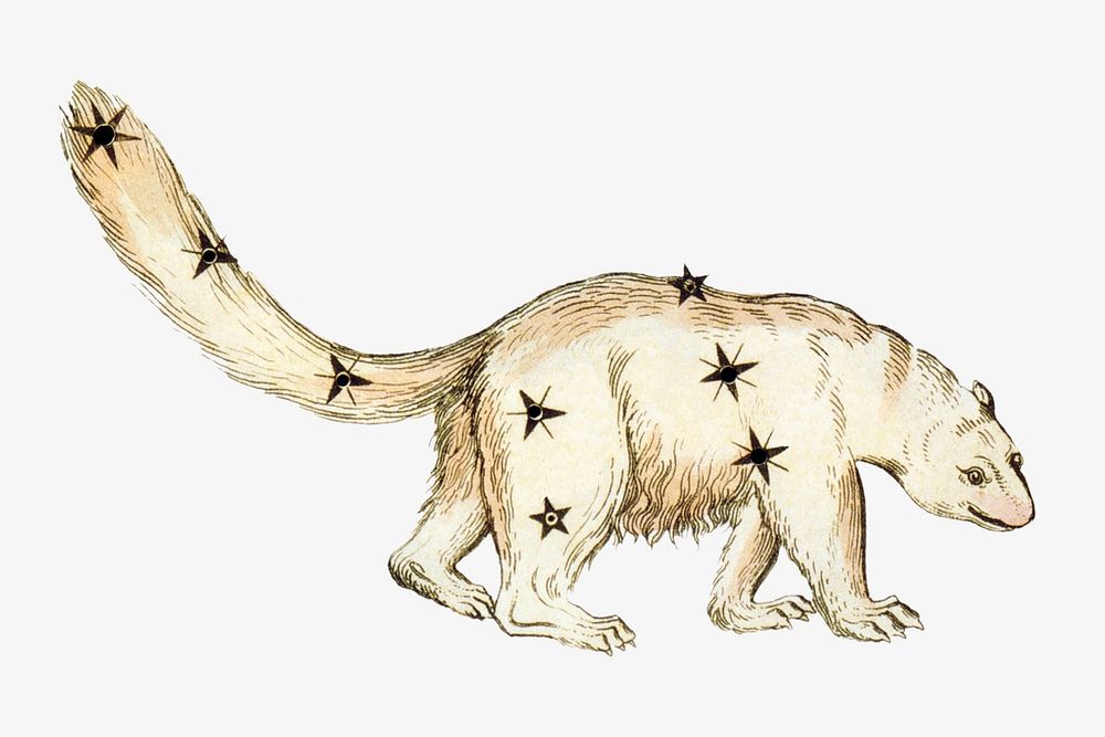 Mythological Ursa Minor constellation illustration isolated design. Remixed by rawpixel.