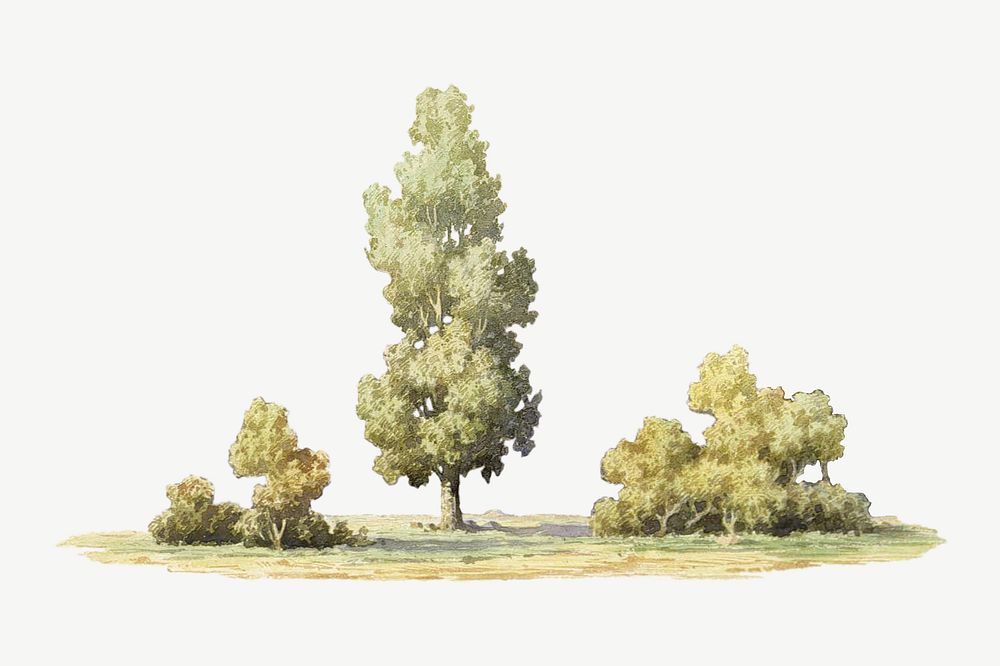 Watercolor trees collage element psd. Remixed by rawpixel.