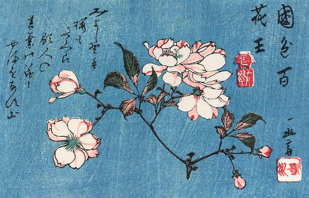 Cherry Blossoms (1797&ndash;1858) woodblock print by Utagawa Hiroshige I. Original public domain image from Wikimedia…