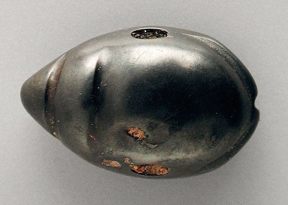 Beetle Amulet