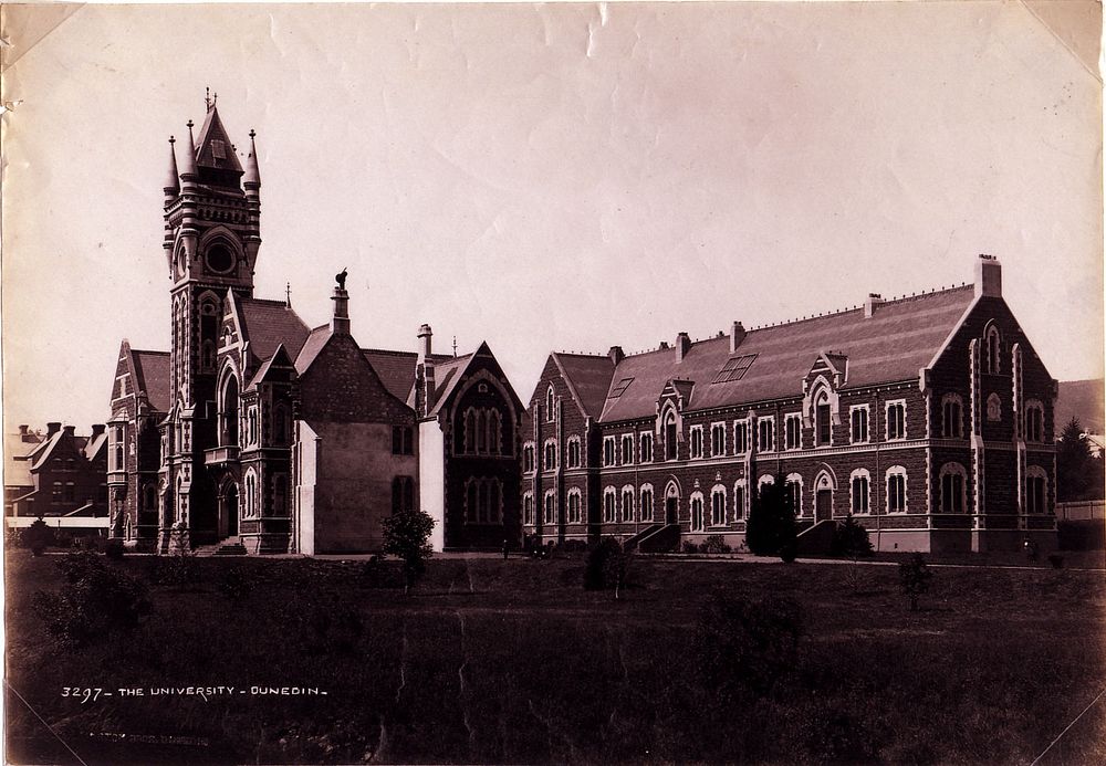 The University, Dunedin (circa 1884) by Burton Brothers.