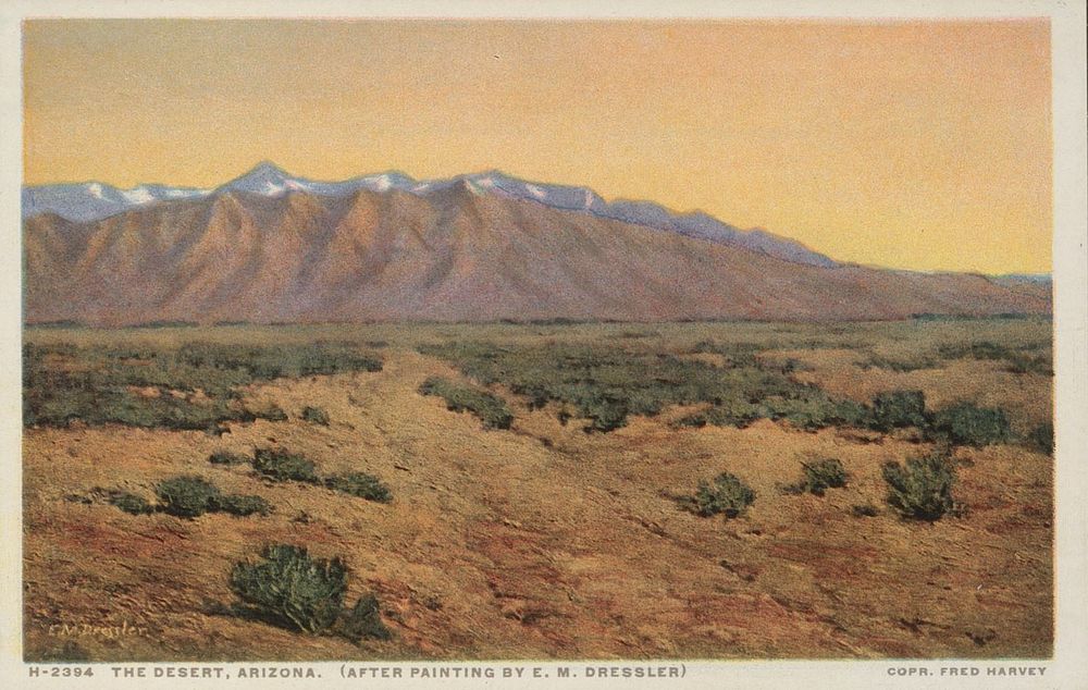 The desert, Arizona (c. 1928) by anonymous, Fred Harvey and A M Dressler