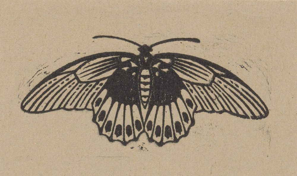 Vlinder (1901) by Julie de Graag