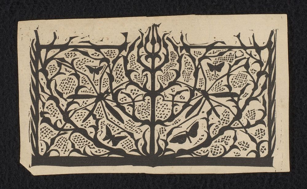 Titelhoofd met langpootmuggen en motten (1893) by Gerrit Willem Dijsselhof, Joh Enschedé and Zonen and Scheltema and Holkema…