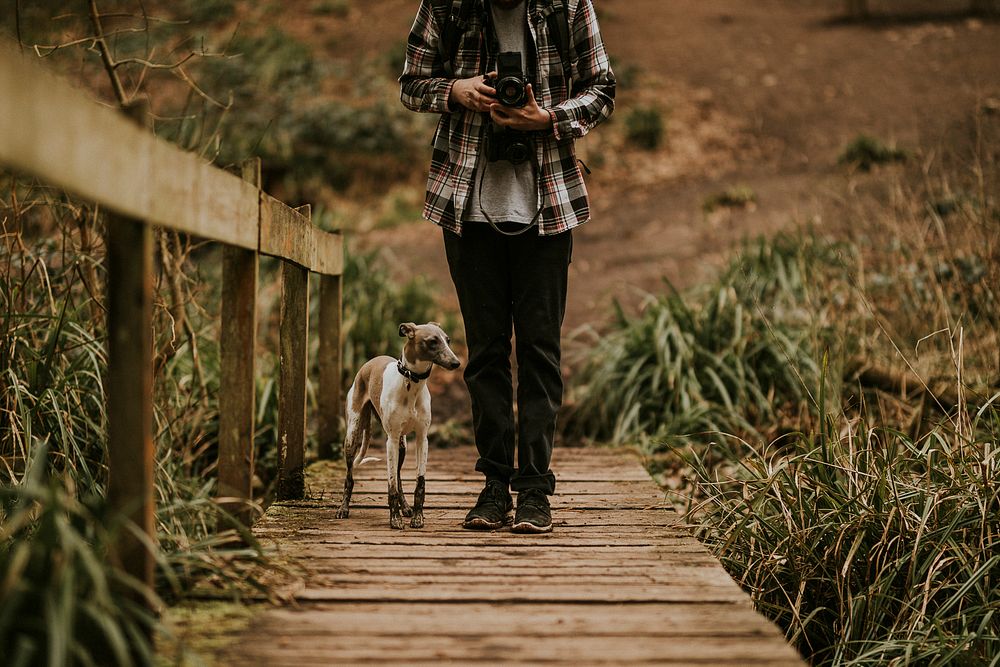 Man walking his dog in the wild