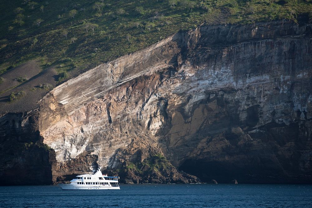 Shot from a distance, a large white cruise ship passes by a slate rock cliff side, with green growth on top.