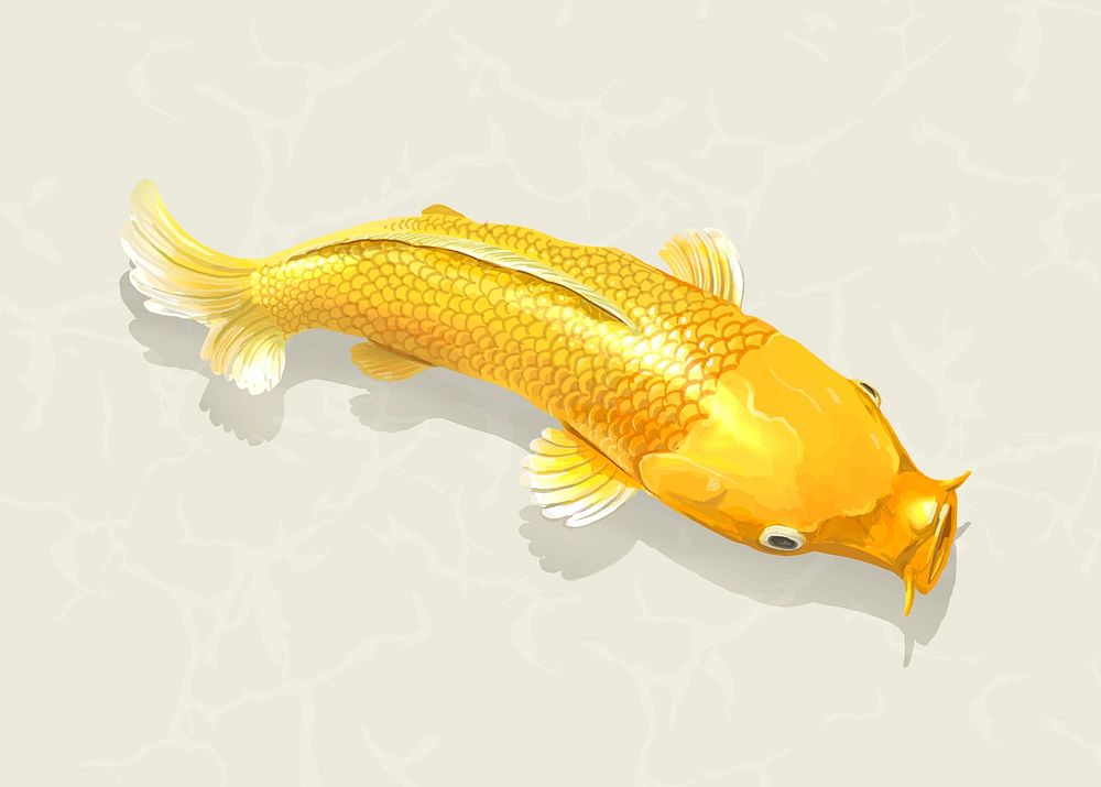 Gold Koi fish sticker, Japanese traditional animal vector