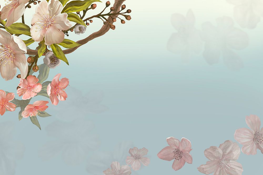 Cherry blossom background, aesthetic floral border psd