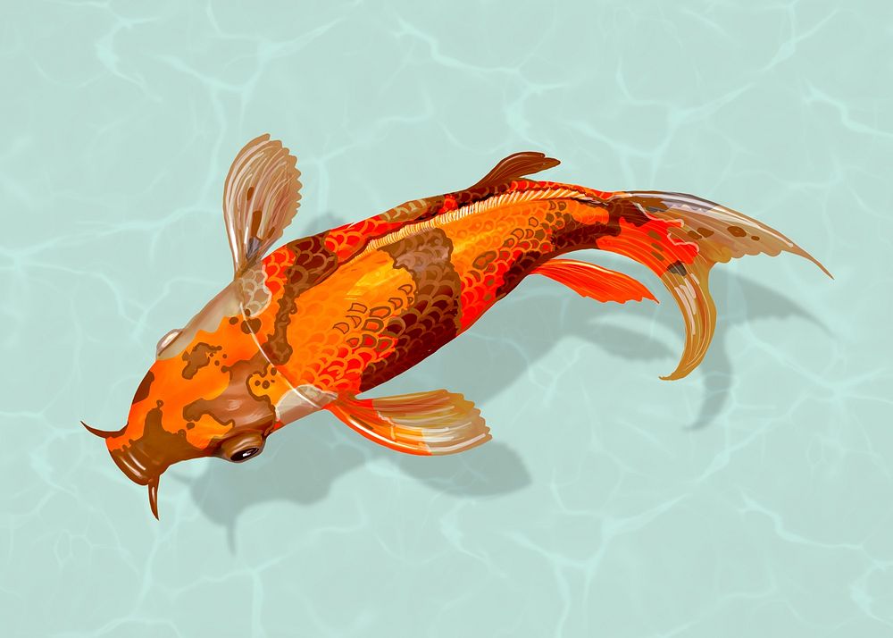 Orange Koi fish sticker, Japanese traditional animal psd