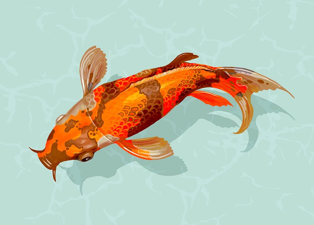 Orange Koi fish sticker, Japanese traditional animal vector