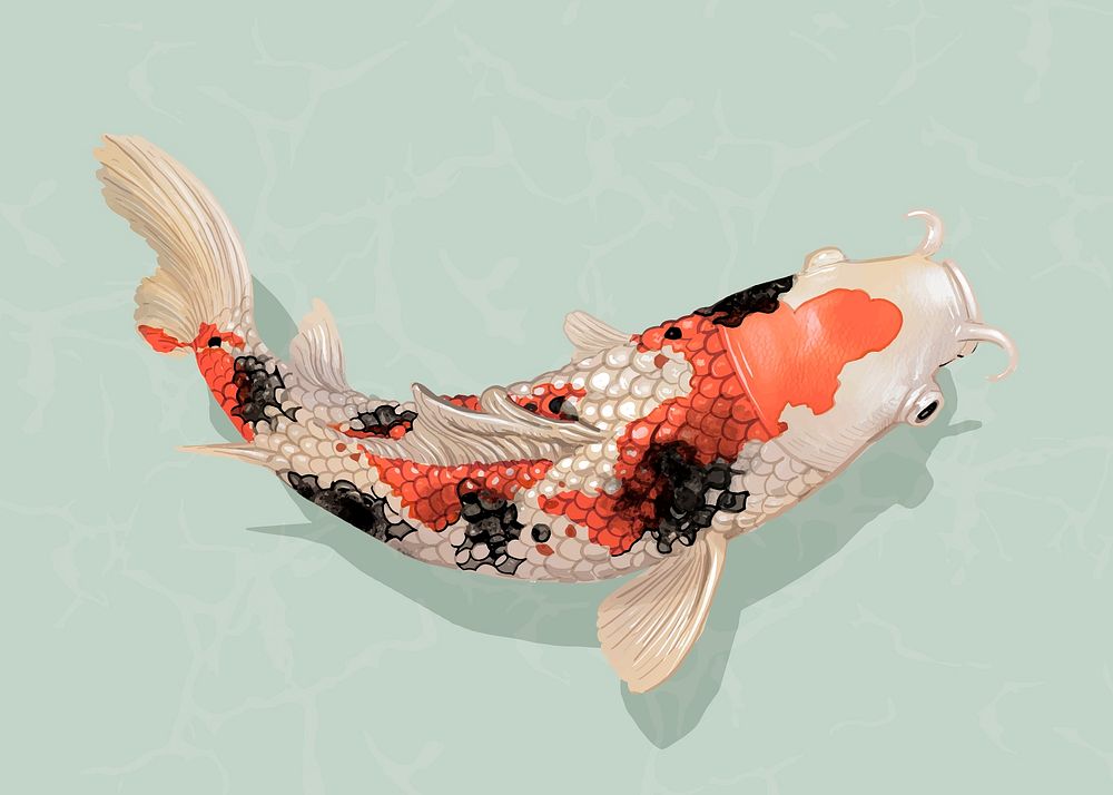 Red Koi fish sticker, Japanese traditional animal vector