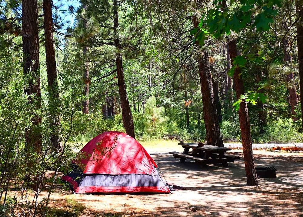 Hanna Flat Family CampgroundThis family campground is located in the Big Bear Lake Recreation AreaForest Service photo by…