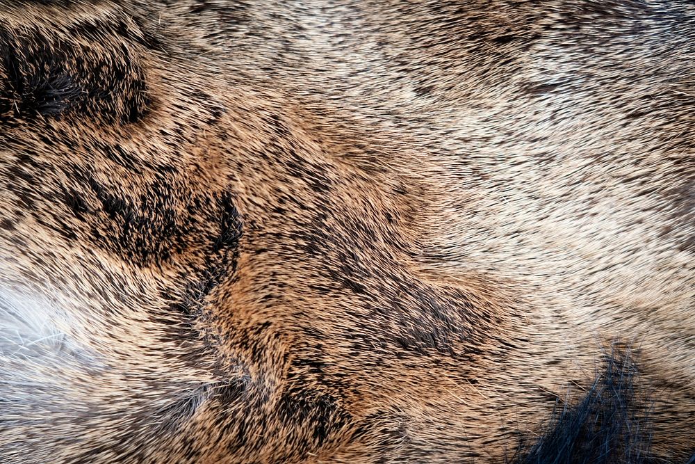 Brown animal carpet texture, close up background