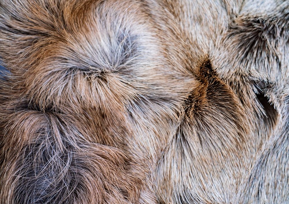 Fluffy rug, animal fur texture, brown background