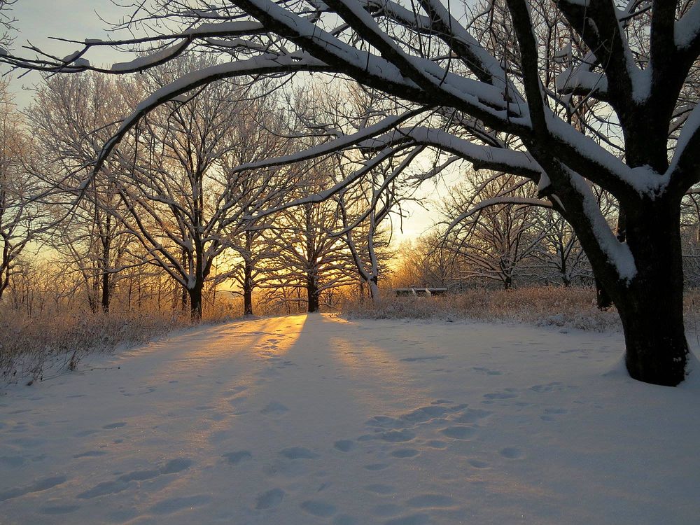 Snowy morningSnowy morning view near the refuge overlook at Port Louisa National Wildlife Refuge in Iowa.Photo by Jessica…