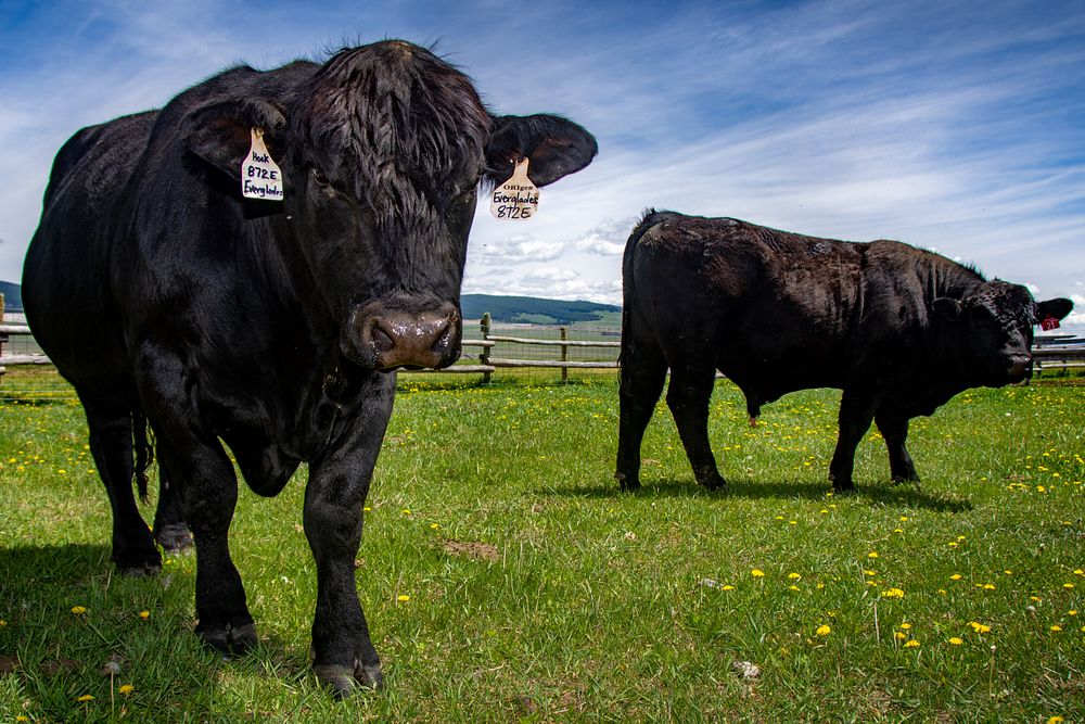 The Huntley Ranch with technical Free Photo rawpixel