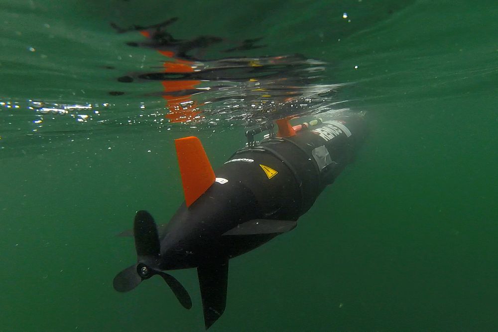 KORSOR, Denmark (Sept. 9, 2019) - A Remote Environmental Measuring Units (REMUS) 100 autonomous underwater vehicle deploys…