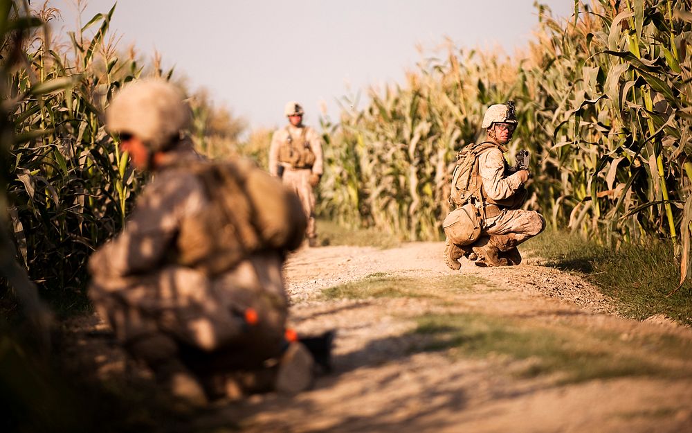 Marines patrol through Helmand province