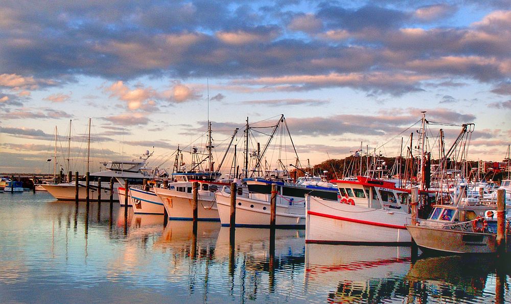 Nelson Bay NSW. Aust.Original public domain image from Flickr