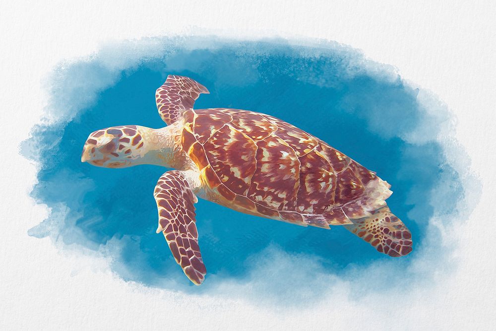 Sea turtle background, watercolor animal in aesthetic design