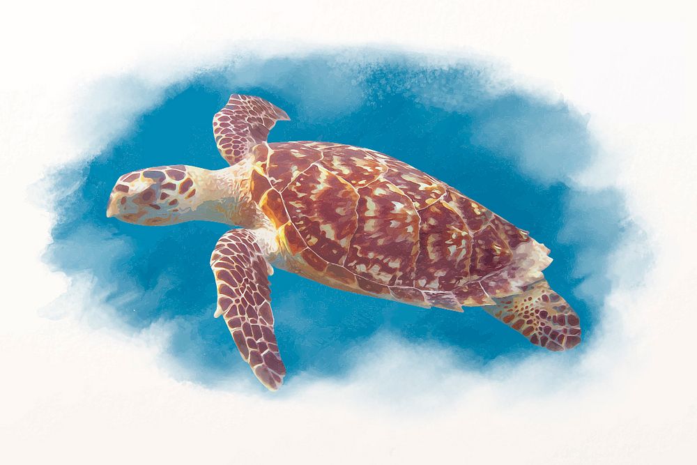 Sea turtle background, watercolor animal in aesthetic design vector