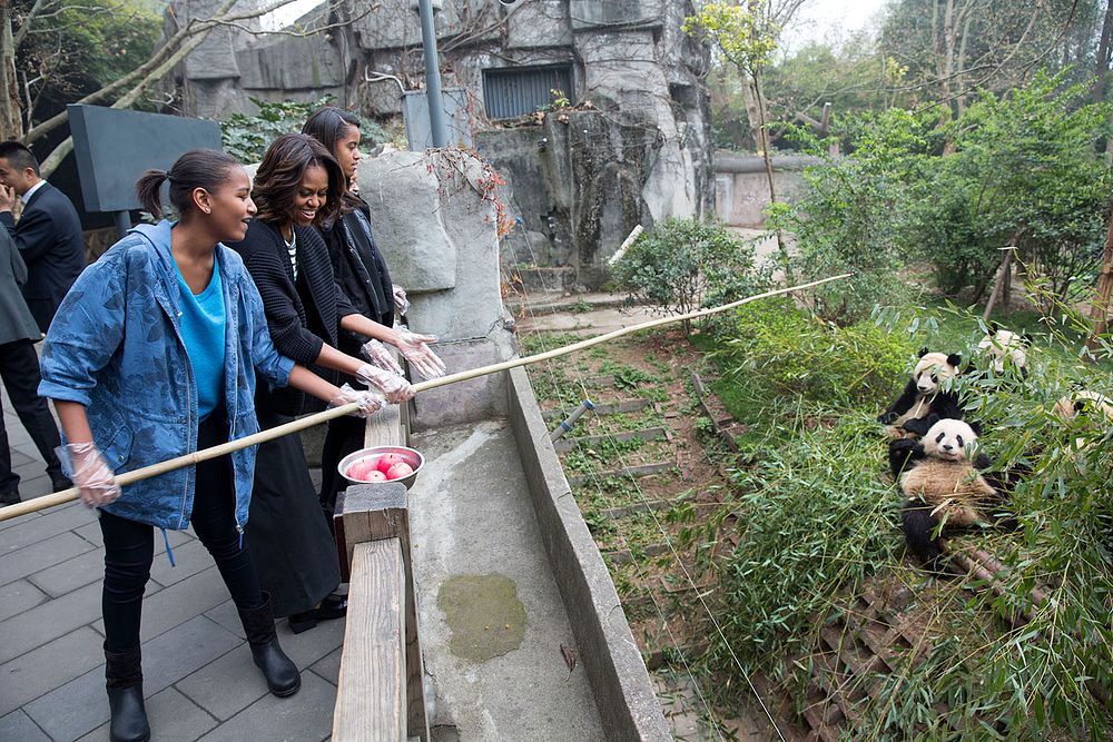 First Lady Michelle Obama, daughters Sasha and Malia, and Marian Robinson feed apples to giant pandas during their visit to…