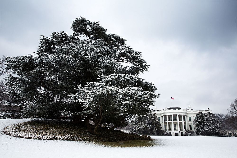 Snow blankets the South Lawn of the White House, Feb. 25, 2014.