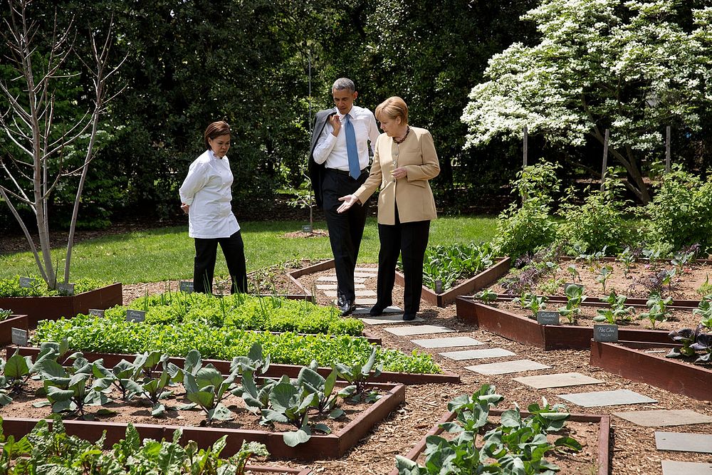 President Barack Obama and Chancellor Angela Merkel of Germany tour the White House Kitchen Garden on the South Lawn with…