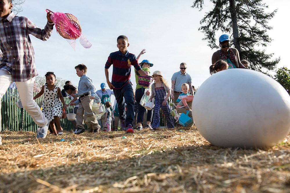 Children hunt for eggs during the annual Easter Egg Roll on the South Lawn of the White House, April 6, 2015.