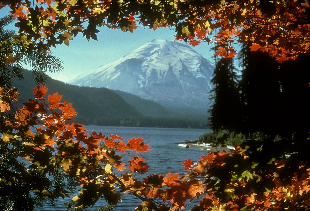 Leaves frame mountain. Original public domain image from Flickr