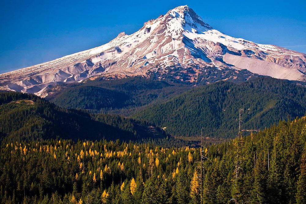 Mt Hood from Lower White River Wilderness-Mt HoodMt Hood from the Lower White River Wilderness on the Mt Hood National…