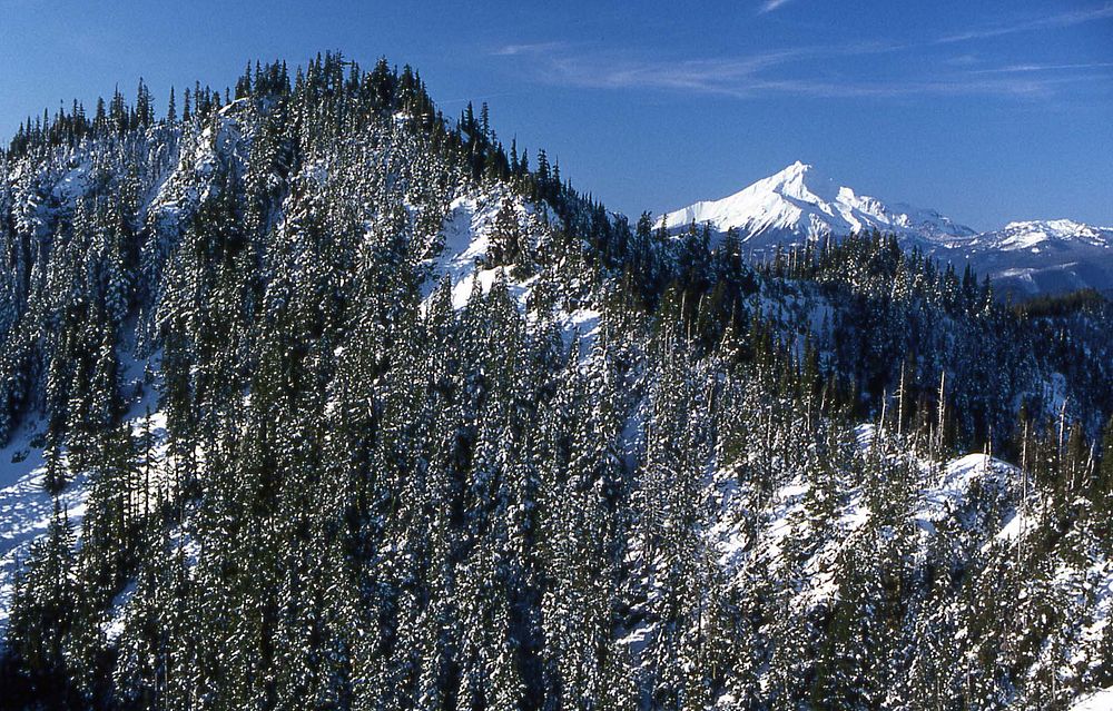 Mt Jefferson in Winter, Willamette National ForestWillamette National Forest. Original public domain image from Flickr