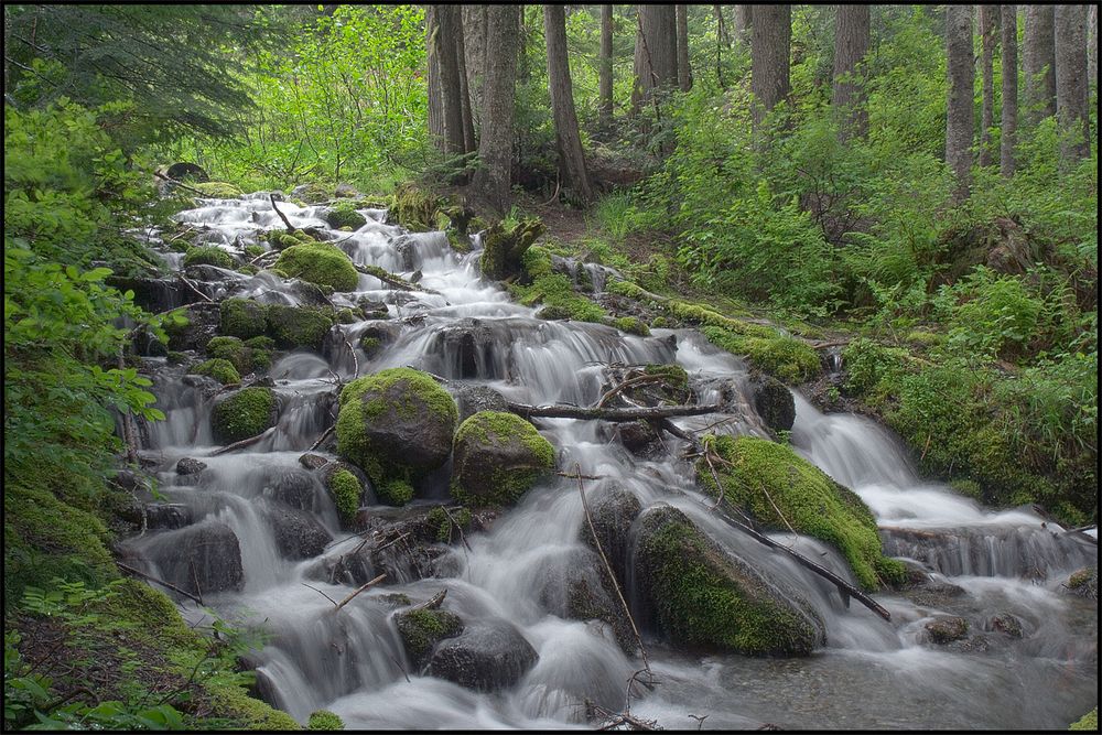 Salmon Creek Cascade, Mt Hood National Forest. Original public domain image from Flickr
