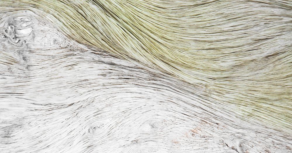 Artificial fur, abstract texture close up background
