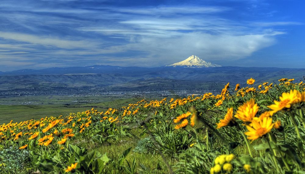 View of Mt. Hood and the Dalles, Oregon from Columbia Hills Historic State Park in Washington on the Columbia River Gorge…