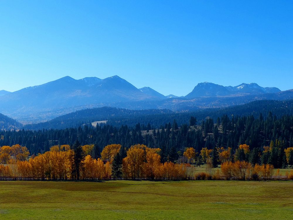 Fall colors by Joseph Oregon, Wallowa-Whitman National Forest. Original public domain image from Flickr